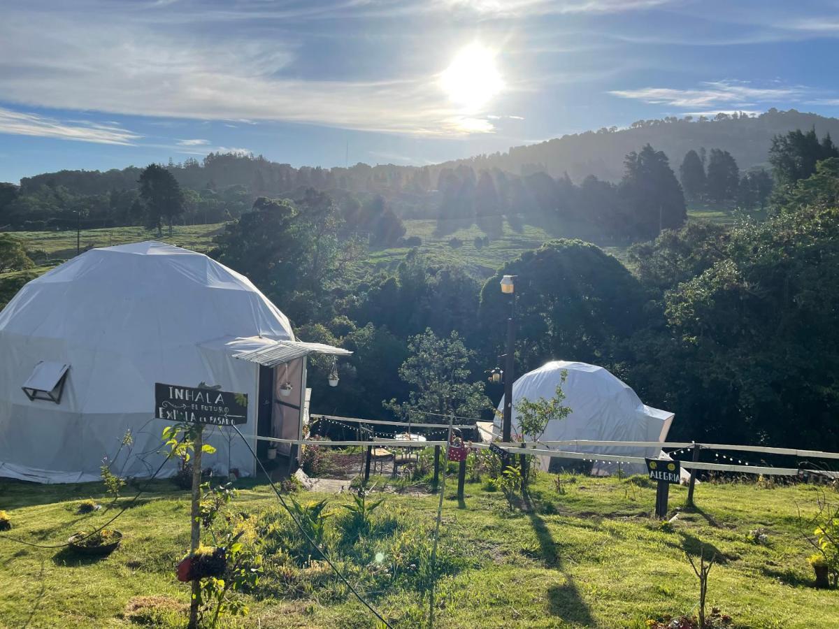 Double Room Mountain View