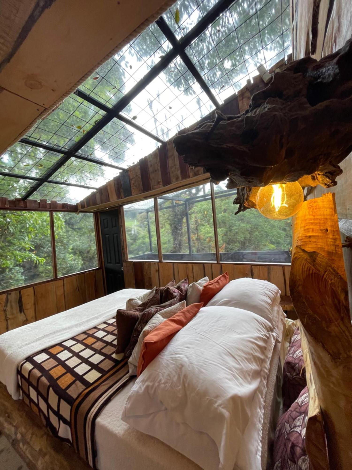 Suite Terrace